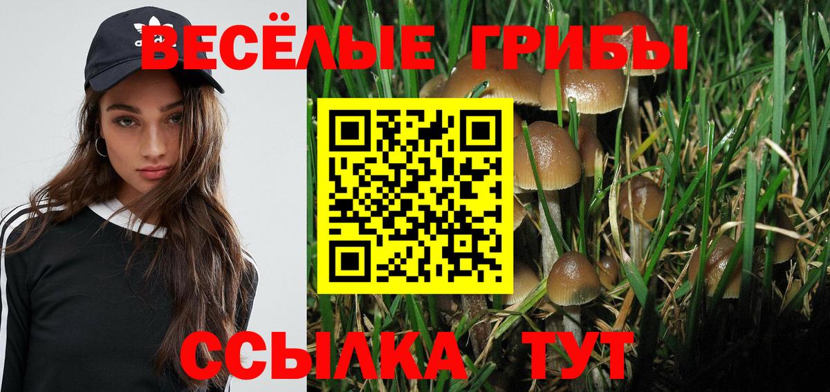 Галлюциногенные грибы мухоморы  Вход с VPN  Кузнецк 